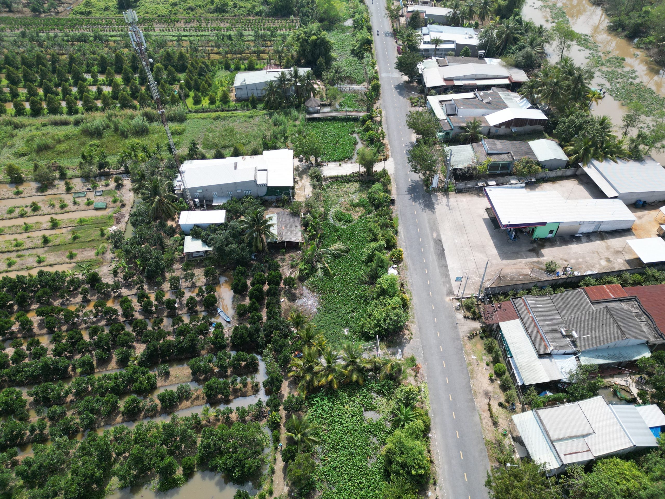 Tranh chấp đất đai: Nguyên nhân, phân loại và cách giải quyết theo pháp luật Aerial shot of lush green farms and rural roads in Vietnam, showcasing vibrant countryside life.