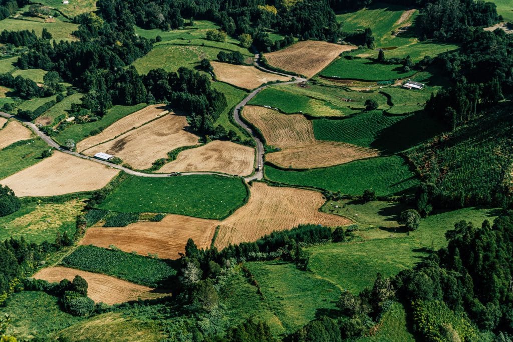 Đất đai bị thu hồi